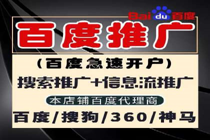 电商平台信息流广告的创意与优化：成功案例分析